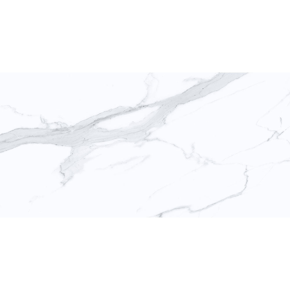 Kendal Glazed Polished Porcelain Rect 295x595mm