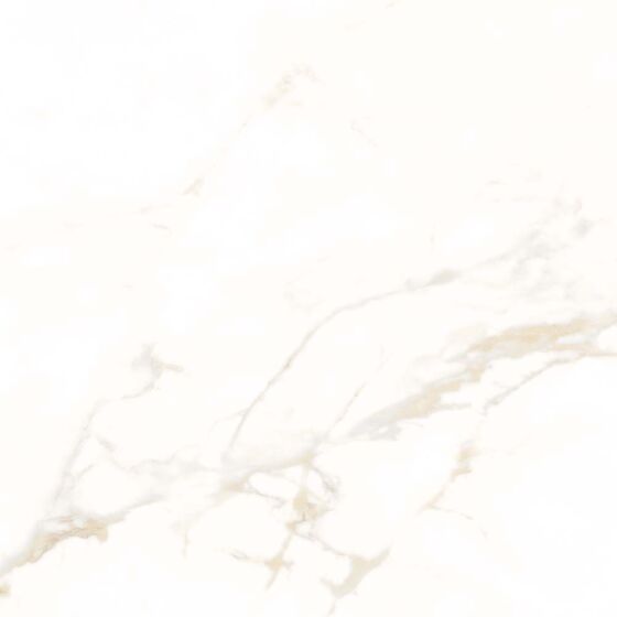 Goldman Matt Porcelain W&F Tile 600x600mm