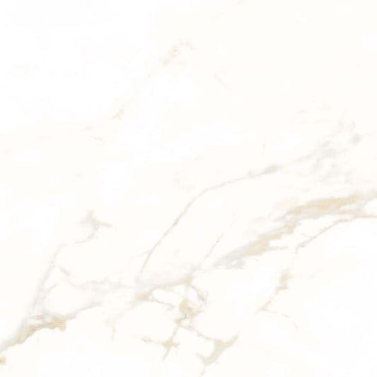 Goldman Matt Porcelain W&F Tile 600x600mm