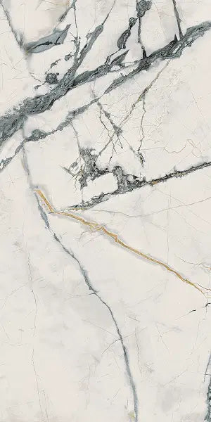 The Room - Invisible Marble Polished 60x120mm